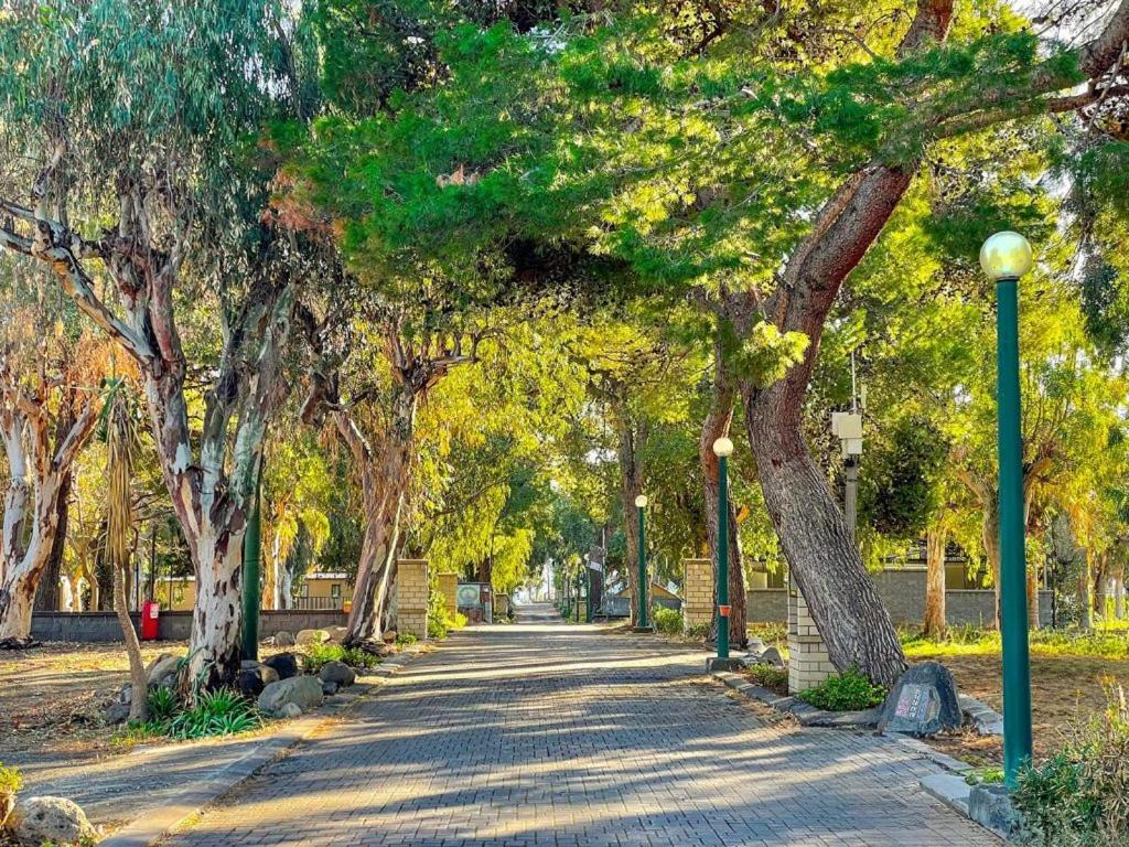 Il Pampaleone Glamping And Resort 아치레알레 외부 사진