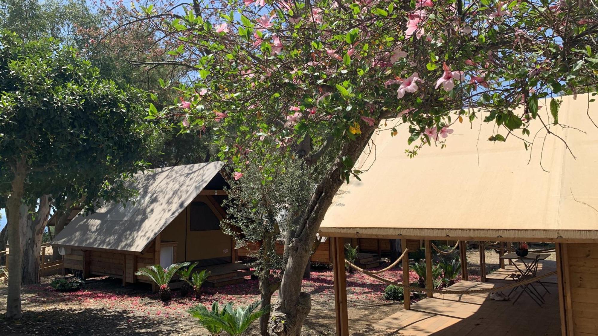 Il Pampaleone Glamping And Resort 아치레알레 외부 사진